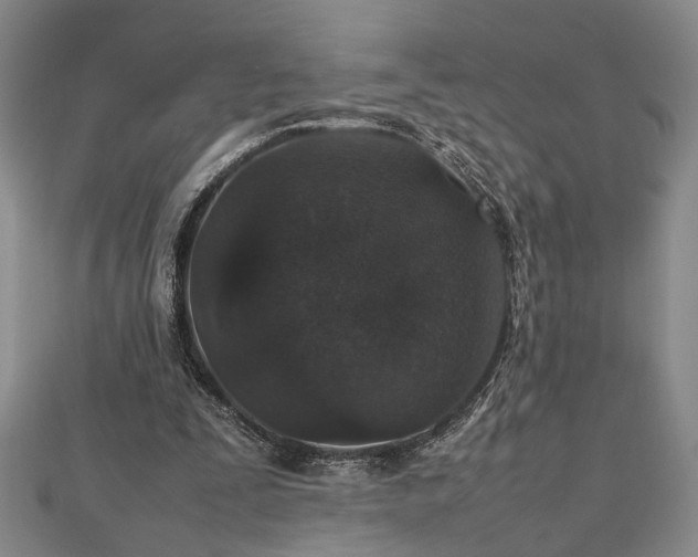 X0000112470295200908241239