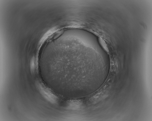 X0000112470296200908241239