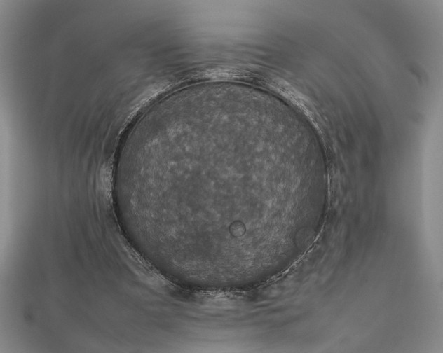 X0000112470297200908241238