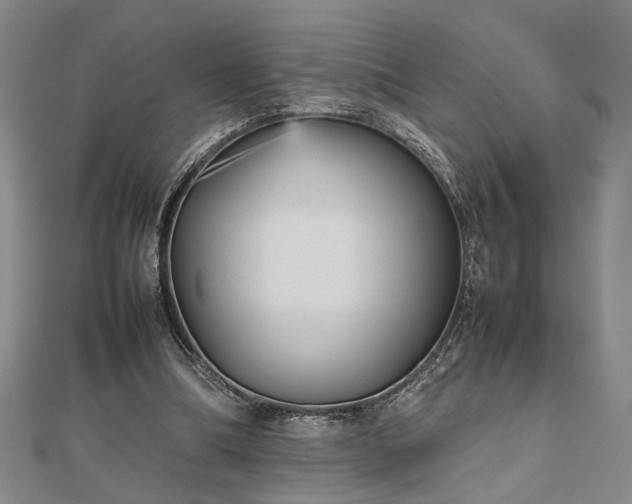 X0000112470298200908241238