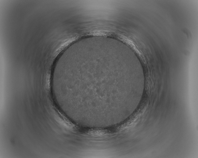 X0000112470299200908241238