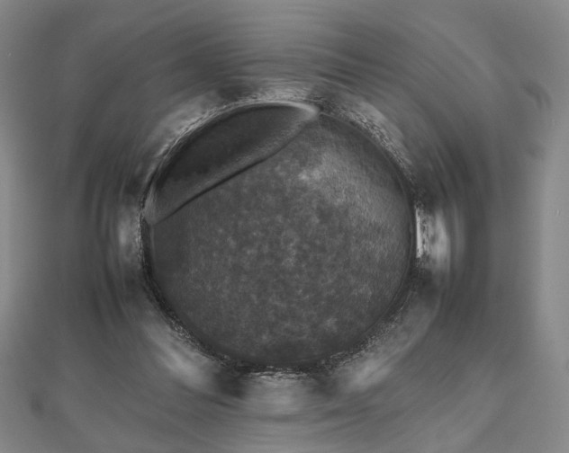 X0000112470300200908241238