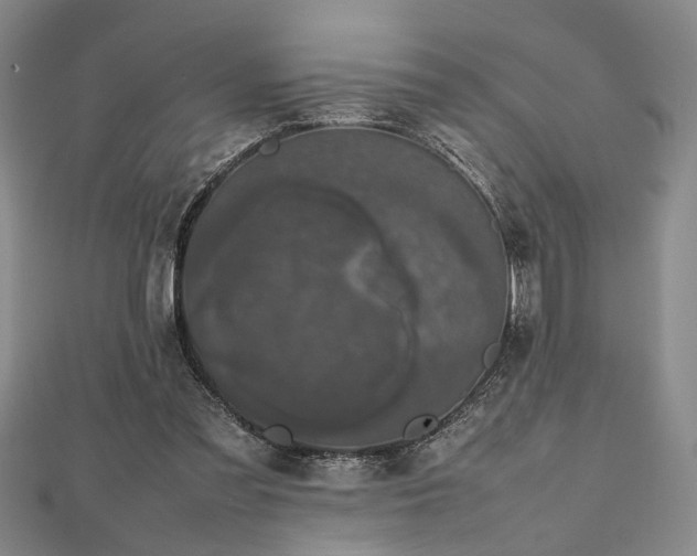 X0000112470301200908241238