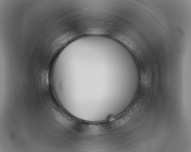 X0000112470302200908241238