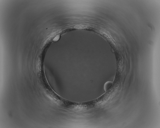 X0000112470303200908241238