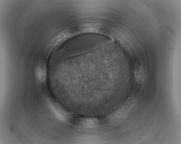 X0000112470304200908241238