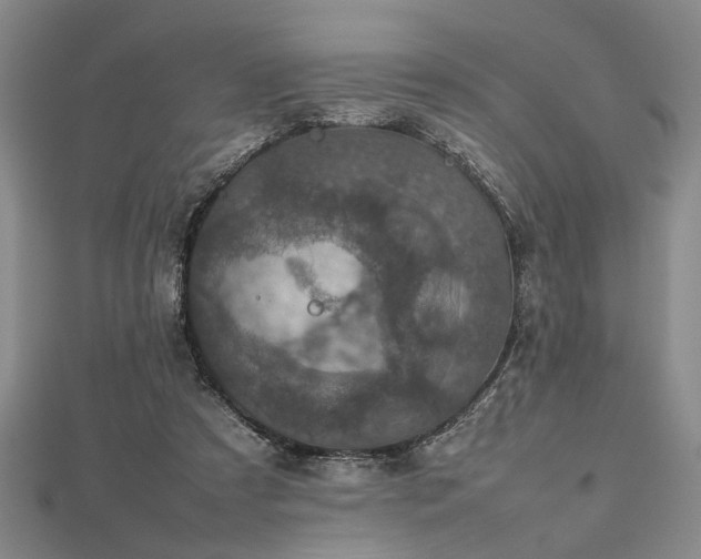 X0000112470305200908241238