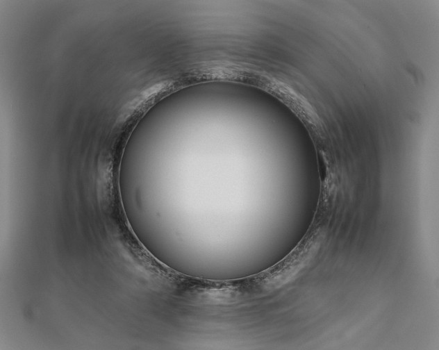 X0000112470306200908241238