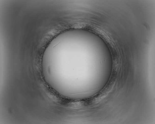 X0000112470307200908241238