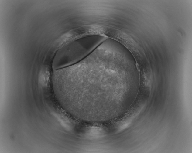 X0000112470308200908241238