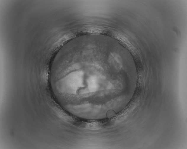 X0000112470309200908241238