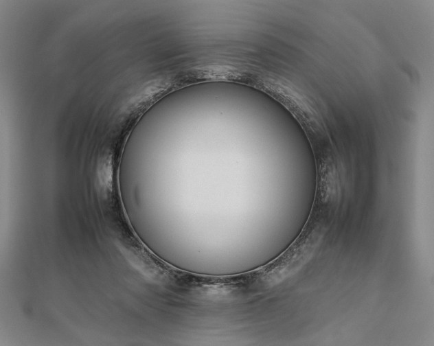 X0000112470310200908241238