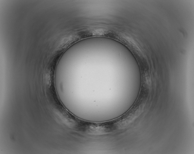 X0000112470311200908241238