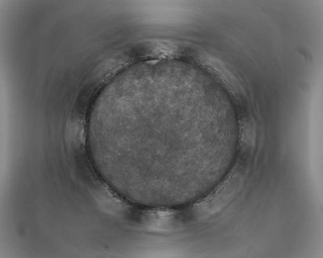 X0000112470313200908241238