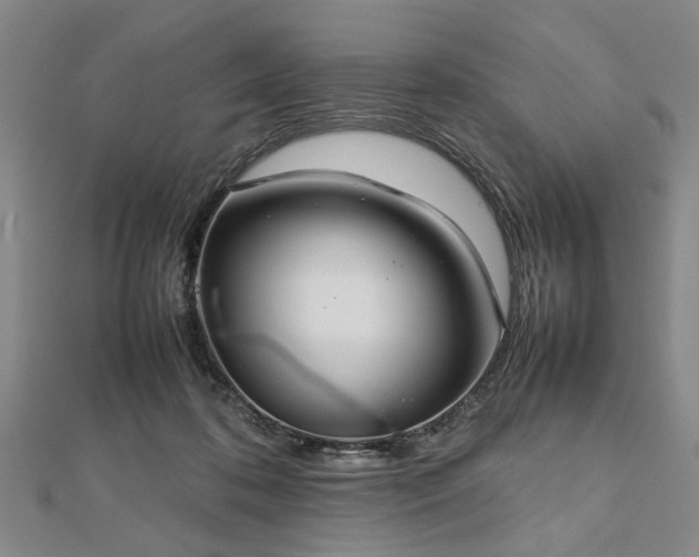 X0000112470316200908241238