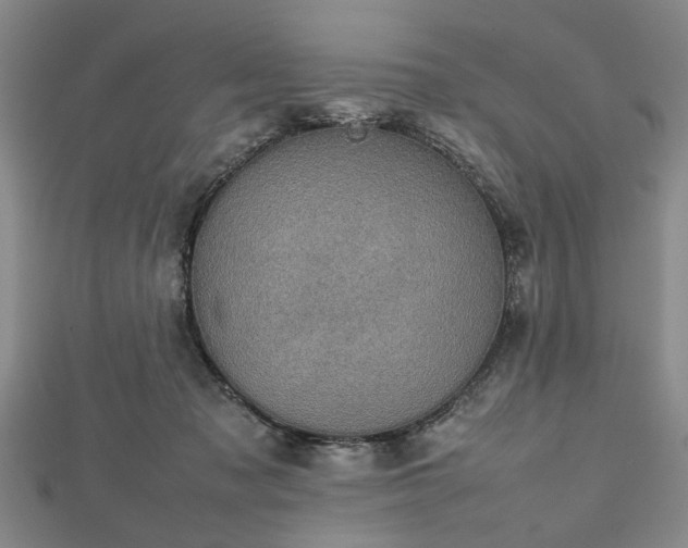 X0000112470317200908241238