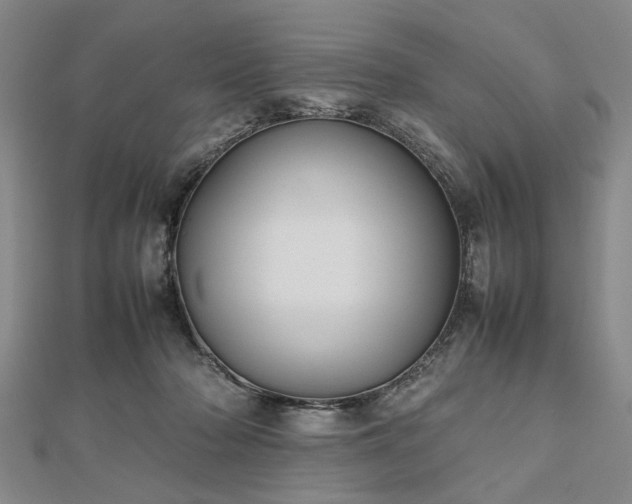 X0000112470318200908241238