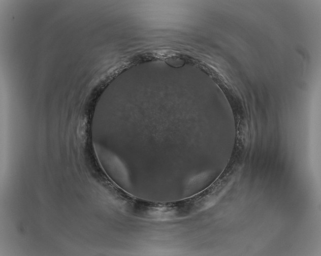 X0000112470319200908241238