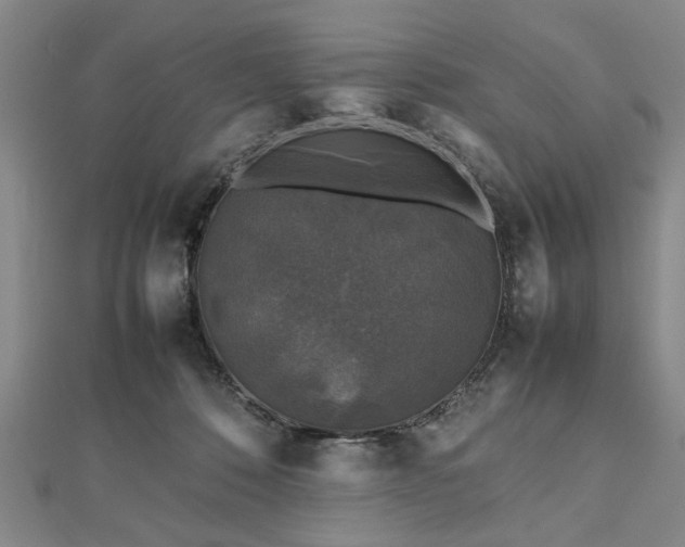 X0000112470320200908241238