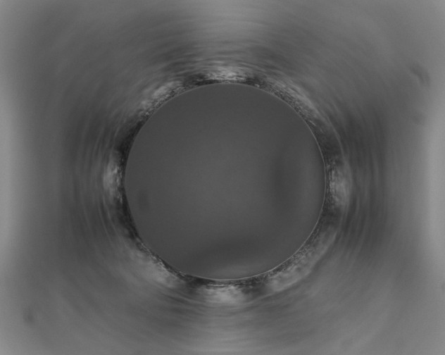 X0000112470322200908241238