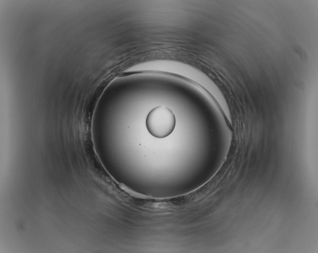 X0000112470324200908241238