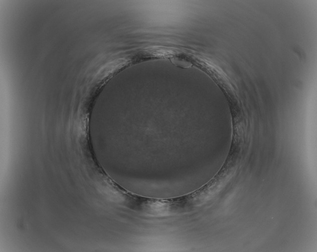 X0000112470325200908241238