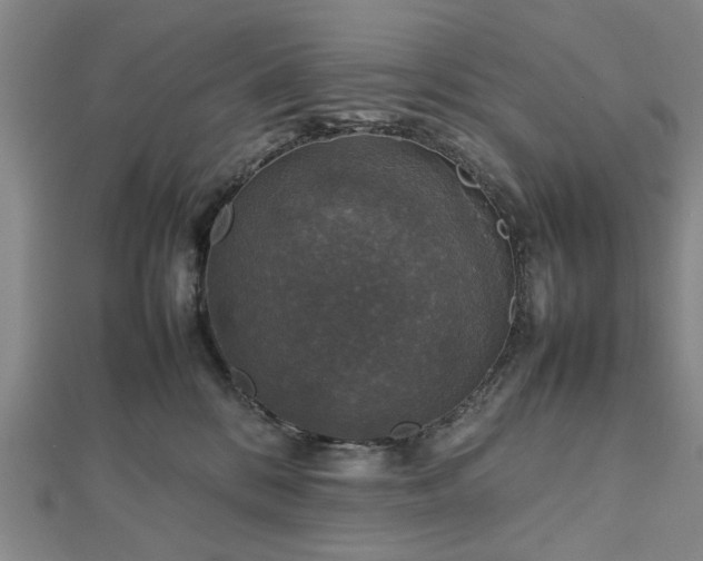 X0000112470328200908241238