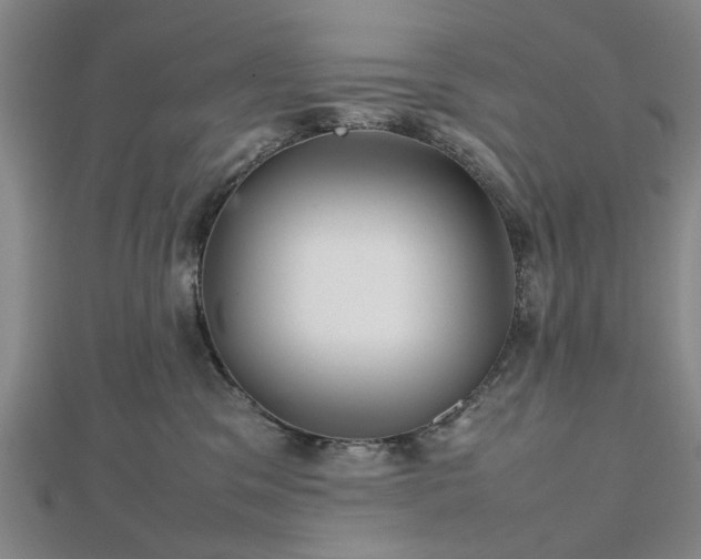 X0000112470329200908241238