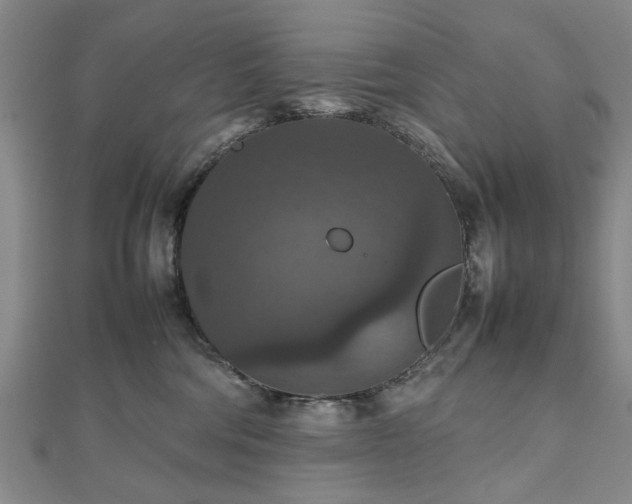 X0000112470330200908241238