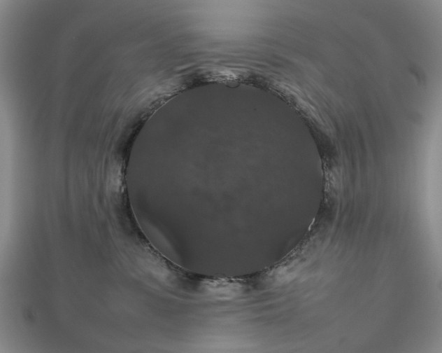 X0000112470331200908241238