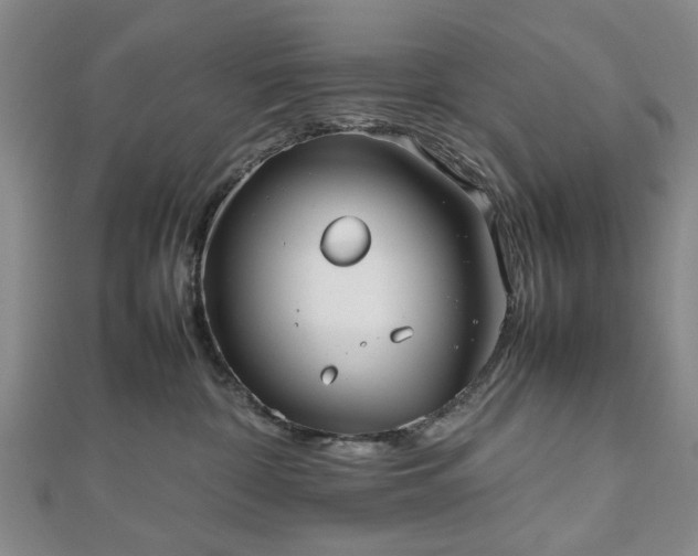 X0000112470332200908241238