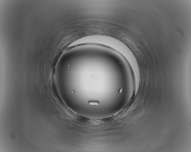 X0000112470333200908241238