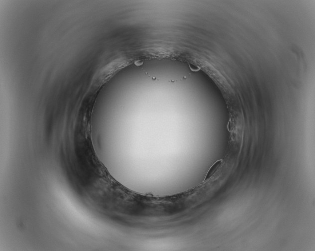 X0000112470334200908241238