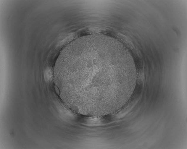 X0000112470335200908241238