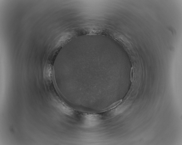 X0000112470336200908241238