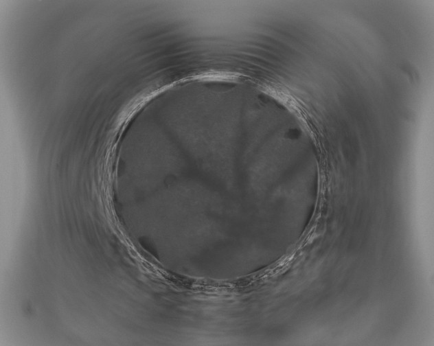 X0000112470337200908241237