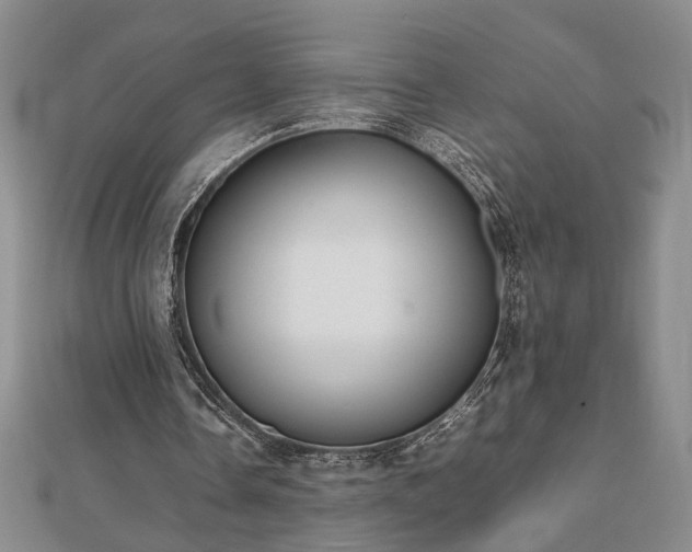 X0000112470338200908241237