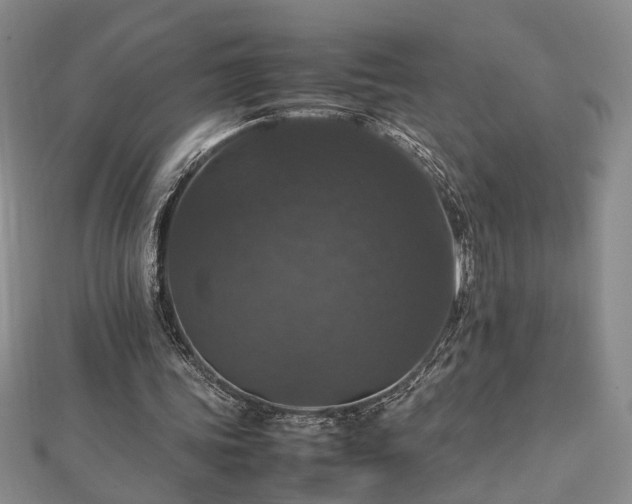 X0000112470339200908241237