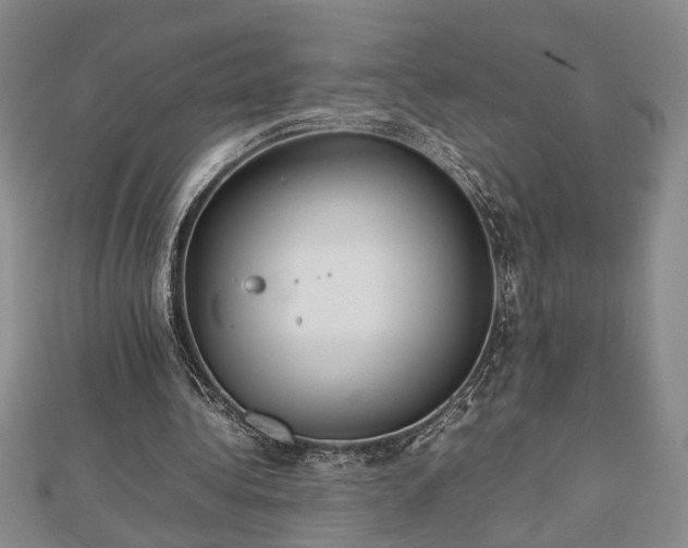 X0000112470340200908241237