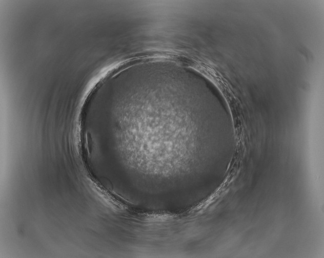 X0000112470342200908241237