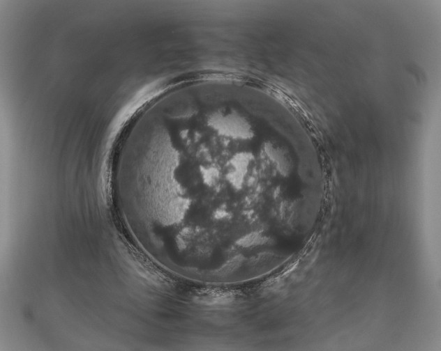 X0000112470343200908241237