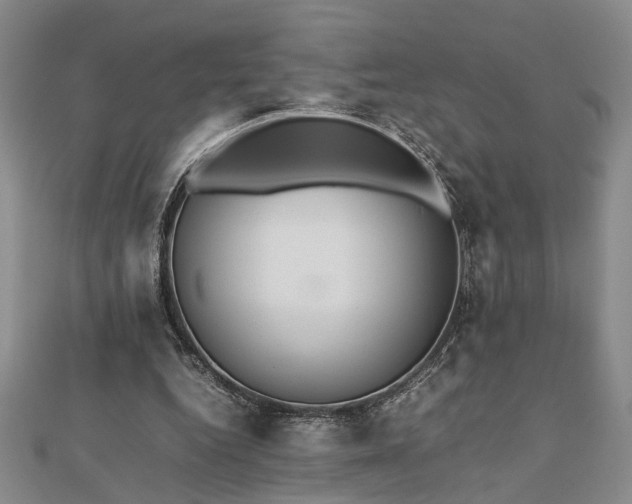 X0000112470344200908241237