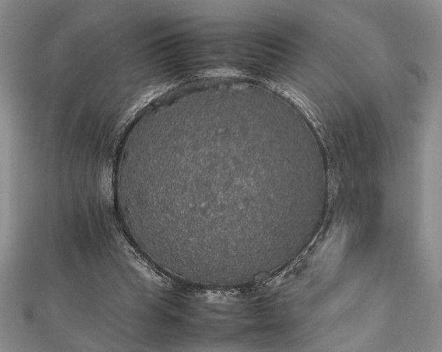 X0000112470345200908241237