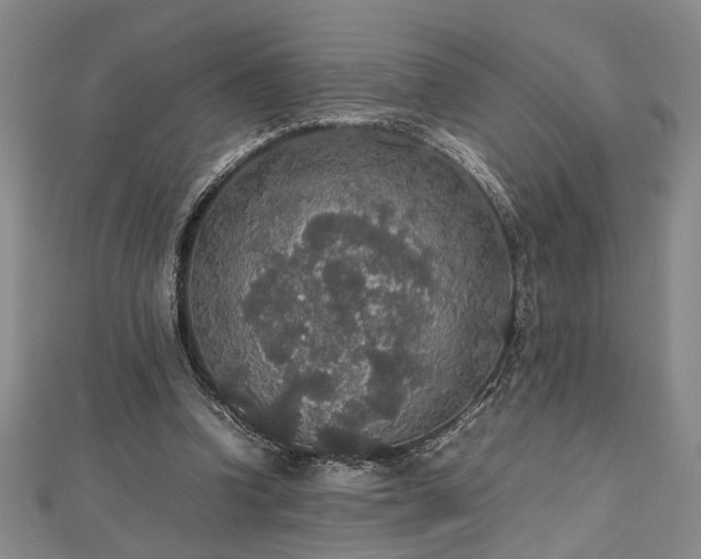 X0000112470346200908241237