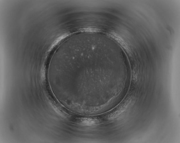 X0000112470347200908241238