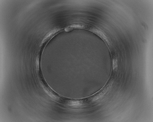 X0000112470349200908241238