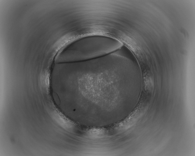 X0000112470350200908241238