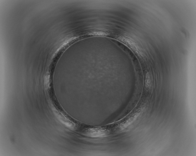 X0000112470351200908241238