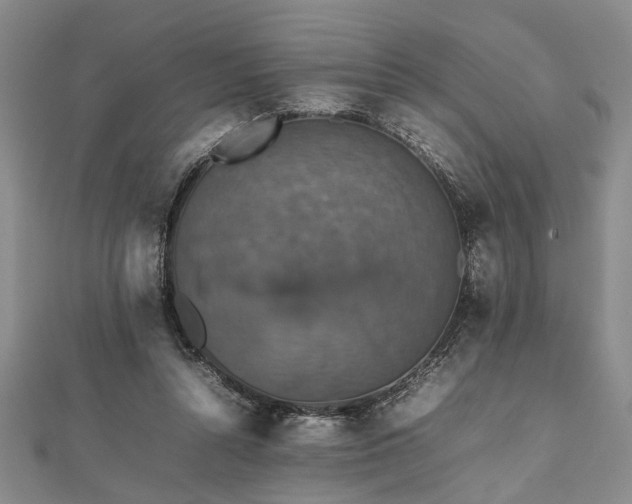 X0000112470352200908241238