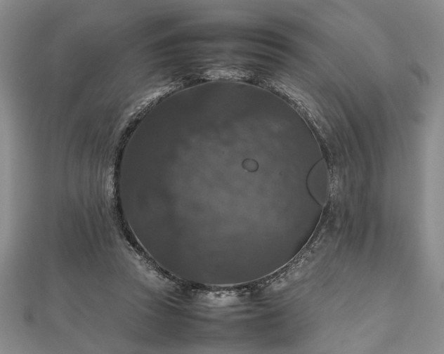 X0000112470353200908241238